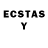 Ecstasy TESLA Bill Sye