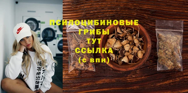 стафф Рославль