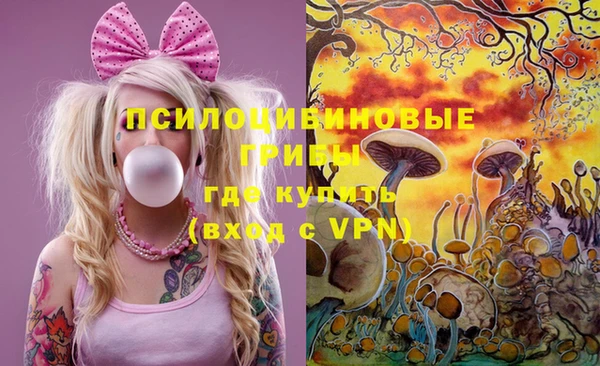 не бодяженный Алексин
