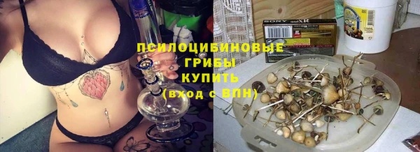 ешки Алексеевка