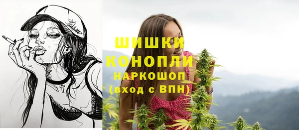 ешки Алексеевка