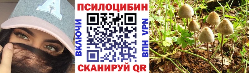 Псилоцибиновые грибы прущие грибы  Балабаново 